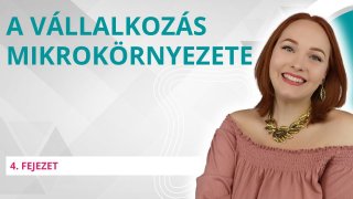 A vállalkozás mikrokörnyezete